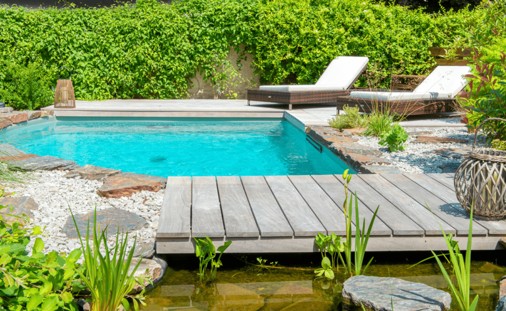 piscine dans jardin asiatique
